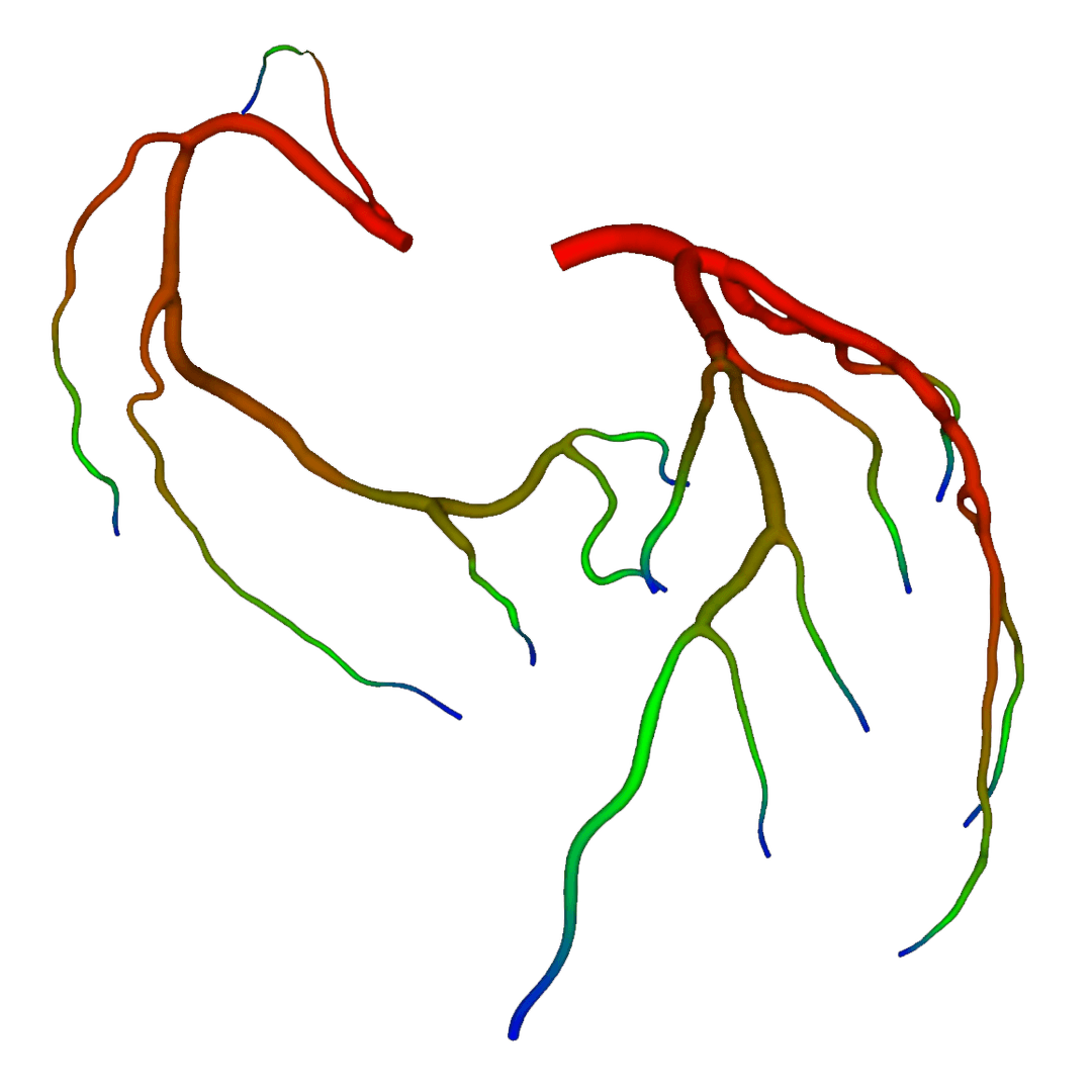 Digital Coronary Twin Simulation